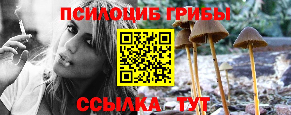 Ишимбай  Псилоцибиновые грибы Psilocybine cubensis  Вход с VPN 