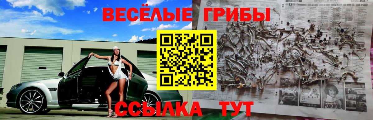 Галлюциногенные грибы мухоморы Ишимбай